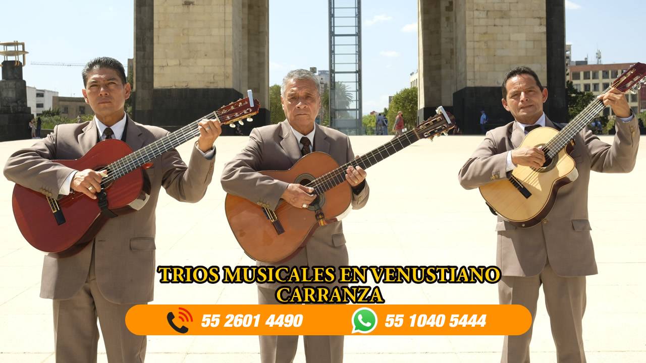 trios musicales en Venustiano Carranza